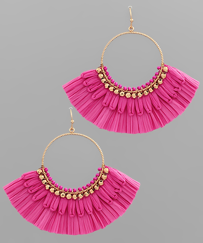 Fringy and Fun Earrings